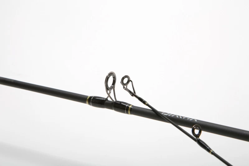 Daiwa Goldcast 2pc – Bild 2