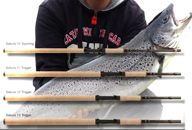 BFT Sakura – Bild 2