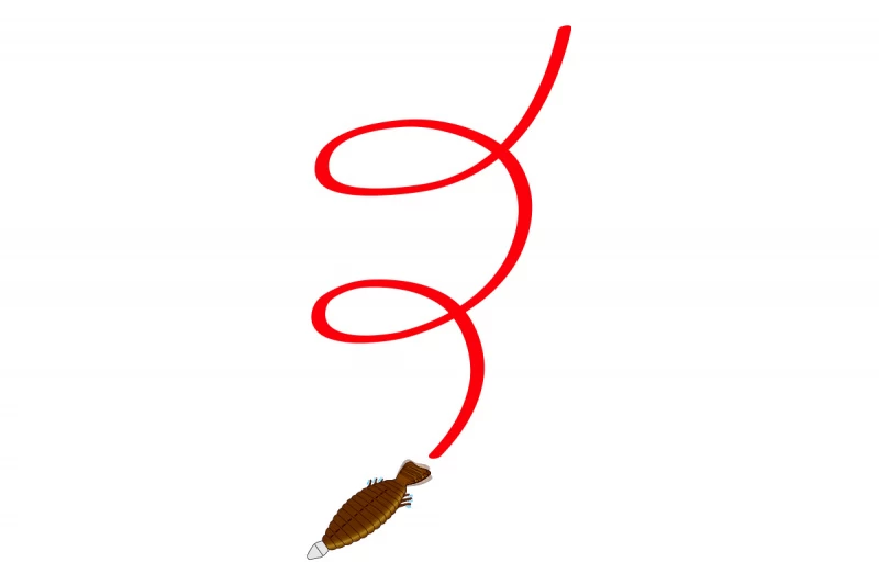 Deps Bull Flat 3.8'' – Bild 5