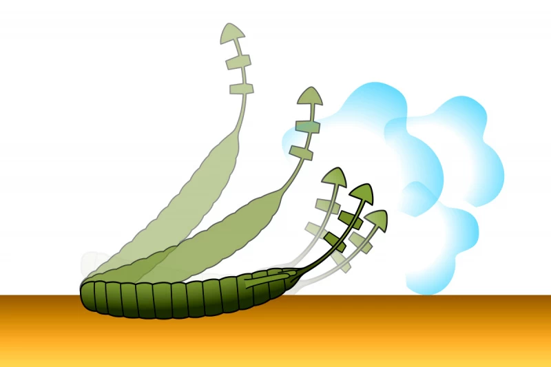 Deps Bull Flat 3.8'' – Bild 6