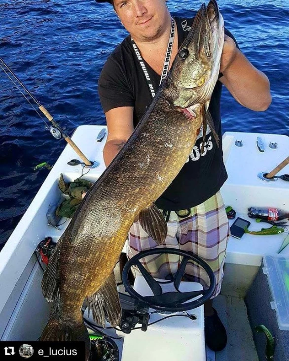 Headbanger Tail – Bild 5