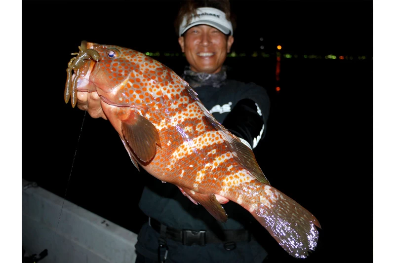 Megabass Honjikomi Bottle Shrimp 3'', 7,6cm (6pcs) – Bild 2