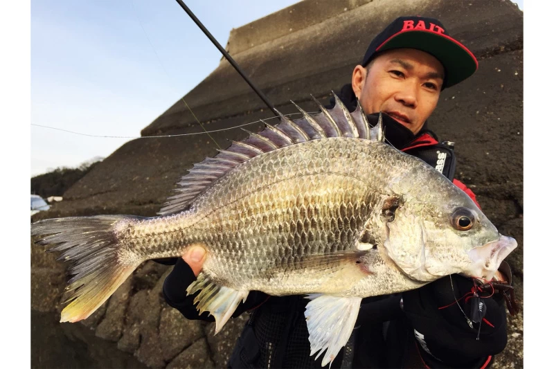 Megabass Honjikomi Bottle Shrimp 3'', 7,6cm (6pcs) – Bild 3