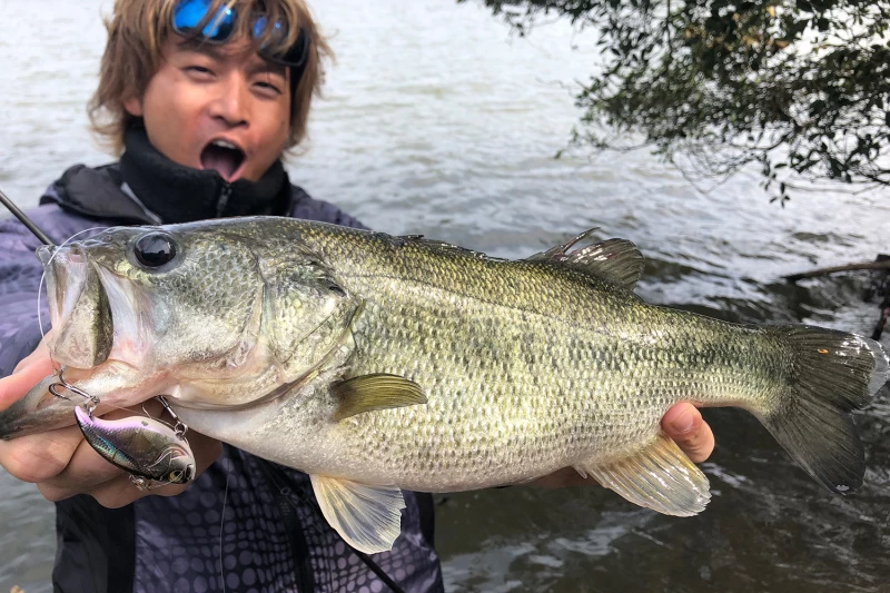 Megabass Vibration-X Dyna (Rattle In) – Bild 2